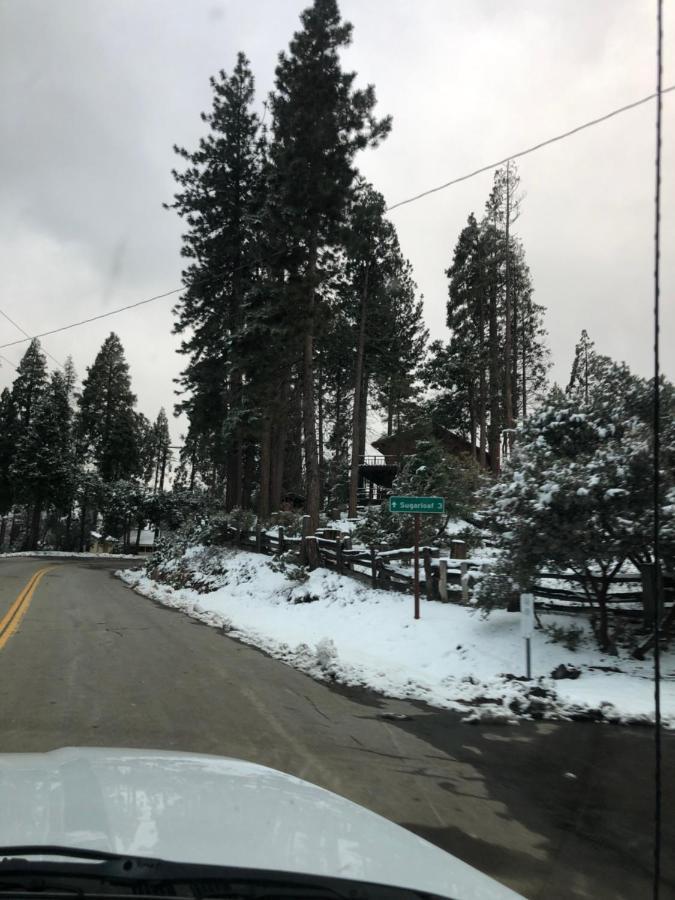 Sequoia National Forest Cabinh Panorama Heights Kültér fotó